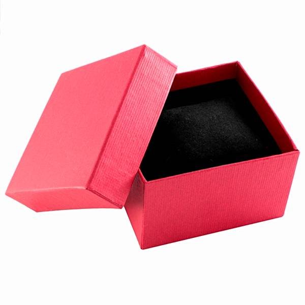 Estuche BOX CASE con almohadilla acolchonada rojo